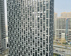 合肥貢街辦公樓幕墻 